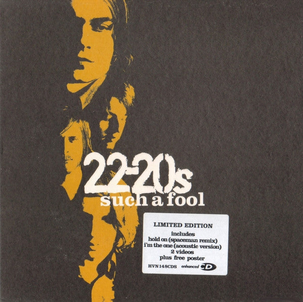 22-20s - Such A Fool (CD) (Very Good Plus (VG)) - DaddyPop