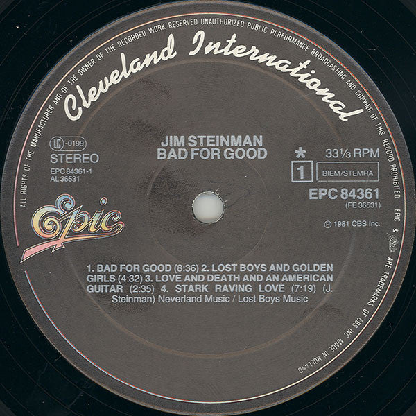 Jim Steinman - Bad For Good (LP) (Very Good Plus (VG)) - DaddyPop