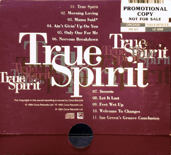 Carleen Anderson : True Spirit (CD, Album, Ltd, Dig)