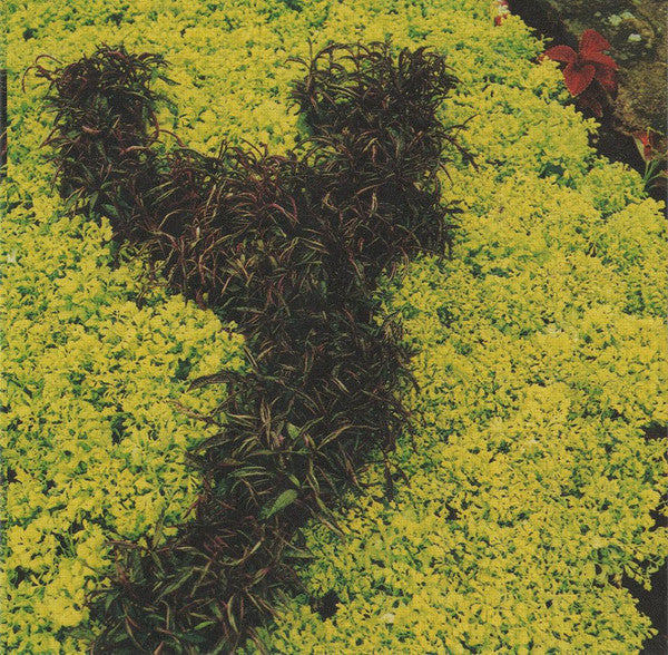 Dodgy : Ace A's + Killer B's (CD, Comp)