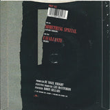 Shakatak : Something Special (7", Sil)