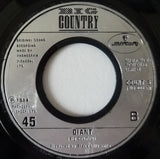 Big Country : Wonderland (7", Single, Jukebox, Sil)