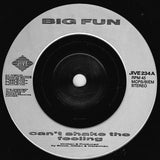Big Fun : Can't Shake The Feeling (7", Single, Sil)