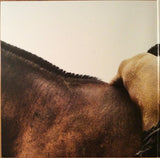 Moses Sumney : Aromanticism (LP, Album, Club, Bla)