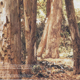 Gary LeMel : Lost In Your Arms (HDCD, Album, Promo)