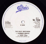 The Isley Brothers : Harvest For The World (12", Single)