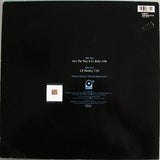 The Rembrandts : Just The Way It Is, Baby (12")