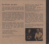 Calum Stewart & Lauren MacColl : Wooden Flute & Fiddle (CD, Album)