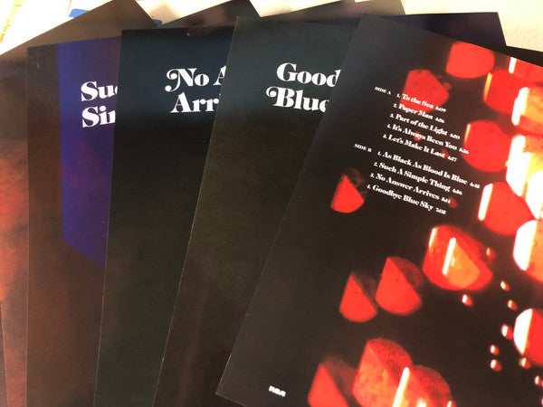 Ray Lamontagne : Part Of The Light (LP, Album, Cle)