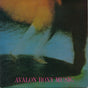 Roxy Music - Avalon (7) (Very Good Plus (VG)) - DaddyPop