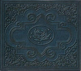 Ryan Adams & The Cardinals : Cold Roses (2xCD, Album)