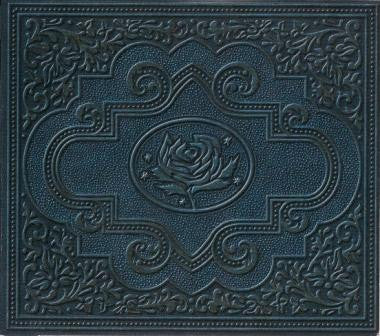 Ryan Adams & The Cardinals : Cold Roses (2xCD, Album)