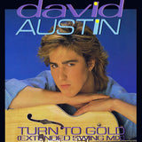 David Austin : Turn To Gold (12")