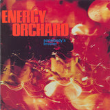 Energy Orchard : Somebody's Brother (7", Single, Sil)