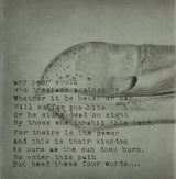 The Raconteurs : Consolers Of The Lonely (CD, Album)