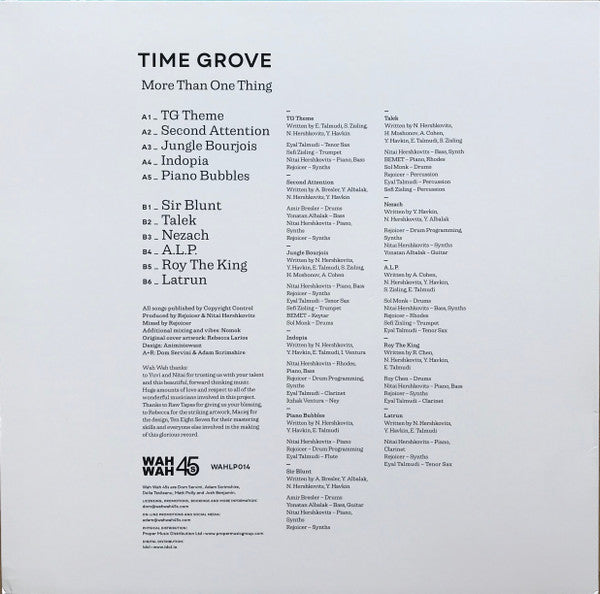 Time Grove : More Than One Thing (LP, Album)