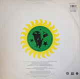 The Brand New Heavies Featuring Guest Vocalist N'Dea Davenport : Dream Come True (12")