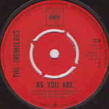 The Tremeloes : As You Are / Suddenly You Love Me  (7", Single)