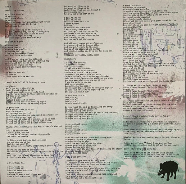 Peter Doherty & The Puta Madres : Peter Doherty & The Puta Madres (LP, Album)