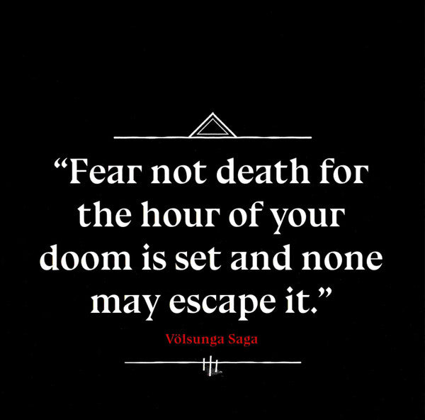 Amon Amarth : Berserker (CD, Album, Dig)