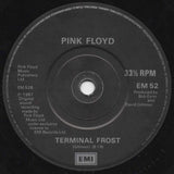 Pink Floyd : One Slip (7", Single)