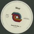 Skyy : Here's To You / You Got Me Up (12", RE, RM)