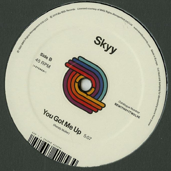 Skyy : Here's To You / You Got Me Up (12", RE, RM)