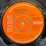 David Cassidy : Darlin' (7")