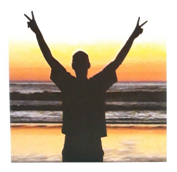 Fatboy Slim : Halfway Between The Gutter And The Stars (CD, Album, RE)