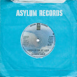 Andrew Gold - Never Let Her Slip Away (7) (Very Good Plus (VG)) - DaddyPop