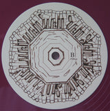 Deerhoof : Future Teenage Cave Artists (LP, Album, Blo)