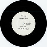 99th Floor : Dreamland (7", Promo)