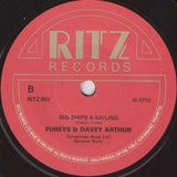 The Fureys & Davey Arthur : When You Were Sweet Sixteen (7", Single)