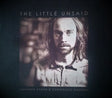 The Little Unsaid : Imagined Hymns and Chaingang Mantras (CD, Album)