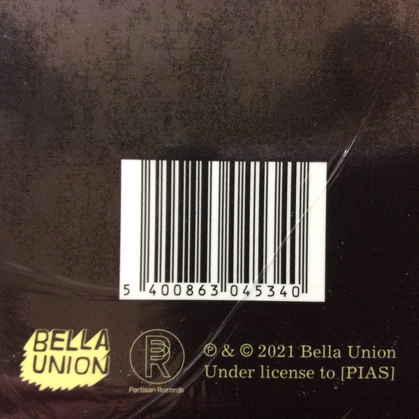 John Grant - Boy From Michigan (2xLP) (Mint (M)) - DaddyPop