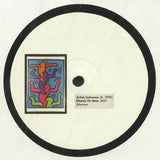 Unknown Artist : Steady On Now / Not You Again? (12")