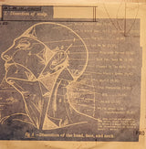 Dave Davies - Bug (2xLP) (Mint (M)) - DaddyPop