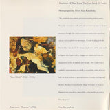 UB40 : Promises And Lies (CD, Album)