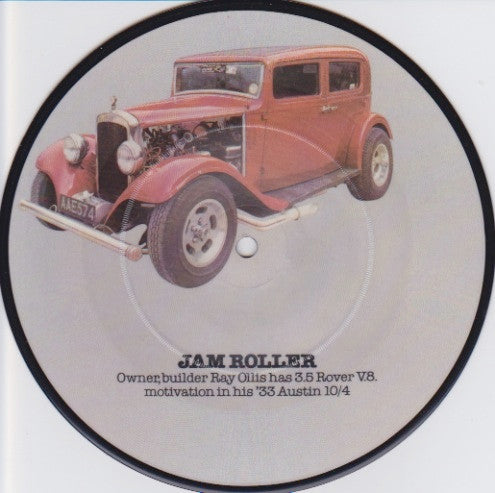 Jewel Akens / The Fendermen : Birds And The Bees / Mule Skinner Blues (7", Pic)