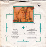 Duran Duran : The Wild Boys (7", Bla)