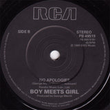 Boy Meets Girl : Waiting For A Star To Fall (7", Single)
