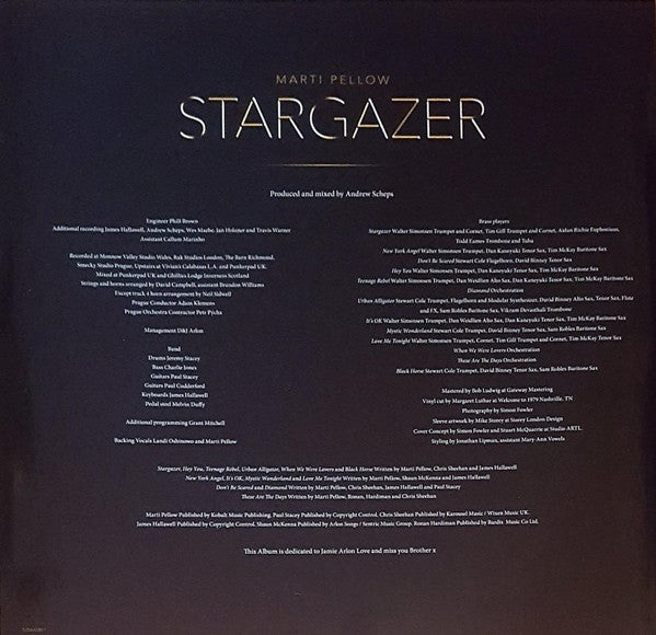 Marti Pellow : Stargazer (2xLP, Gat)