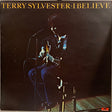 Terry Sylvester : I Believe (LP, Album)