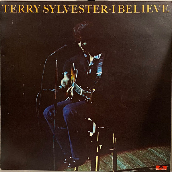 Terry Sylvester : I Believe (LP, Album)
