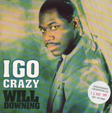 Will Downing : I Go Crazy (7")