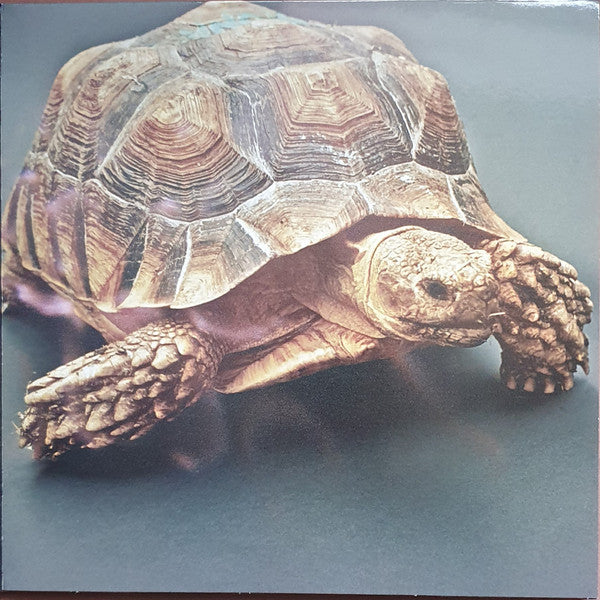 Aldous Harding : Warm Chris (LP, Album)