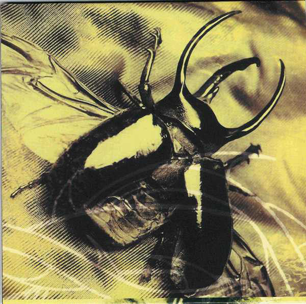 Paradise Lost : Icon (CD, Album, RE)