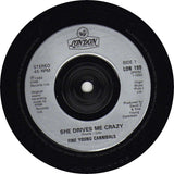 Fine Young Cannibals : She Drives Me Crazy (7", Single, Sil)