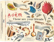 Adem - These Are Your Friends (CD) (Very Good Plus (VG)) - DaddyPop