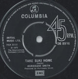 Hurricane Smith : Who Was It? (7", Single)